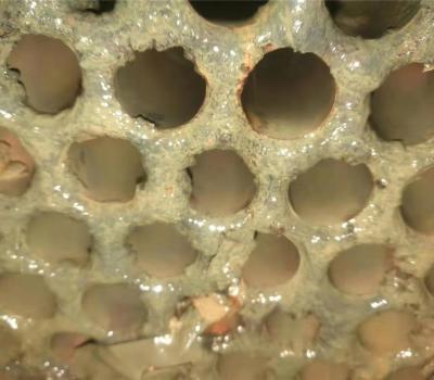 螺桿機(jī)冷凝器清洗 (11)